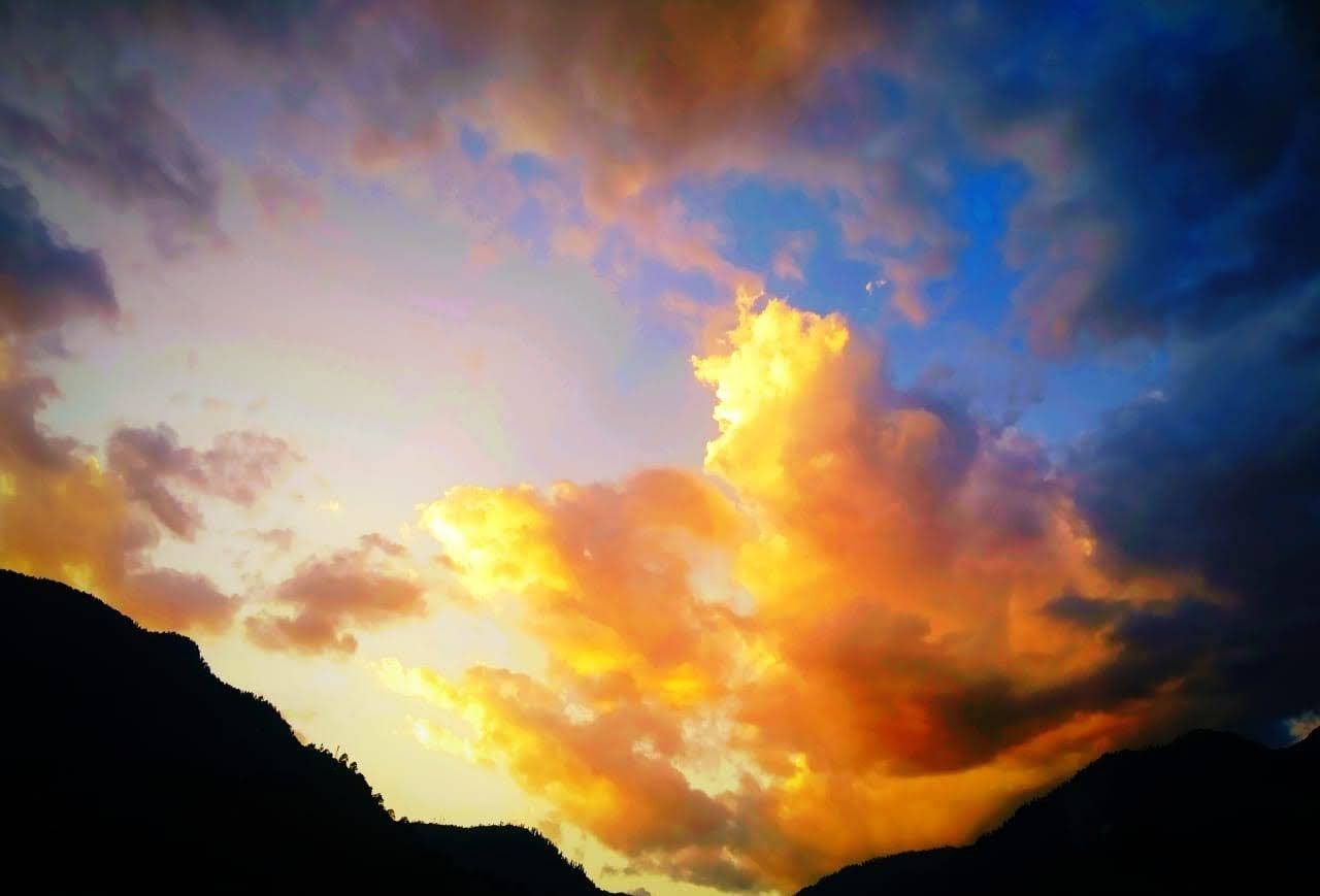 Photo #6102709