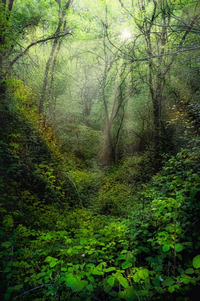 Photograph by Iñigo Yvorra