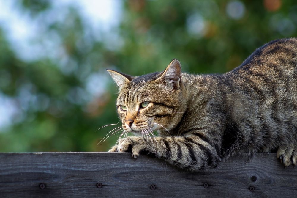 Photograph by Александр Канцур