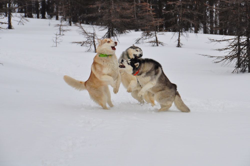 Photograph by Евгений Захаров