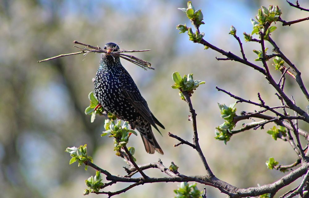 Photograph by Galina Tsmyg