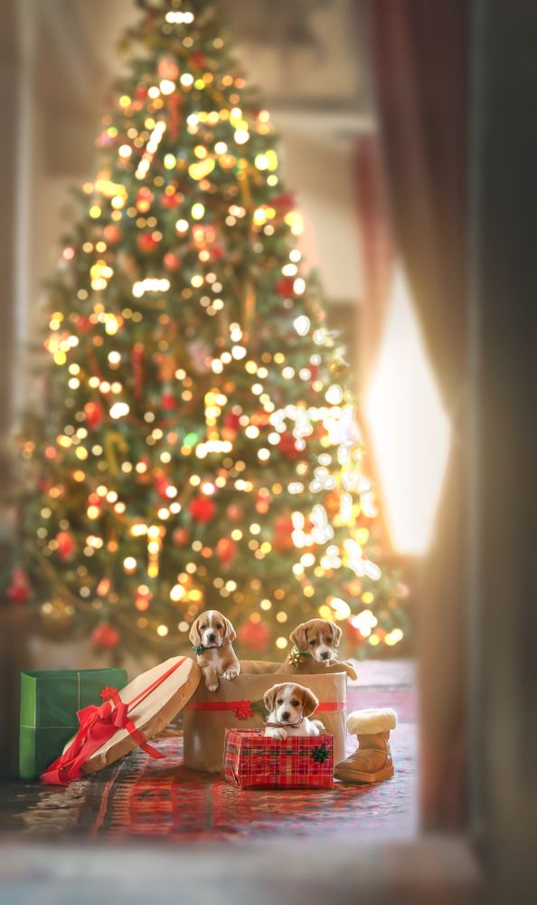 Photograph by Cayetana Saiz