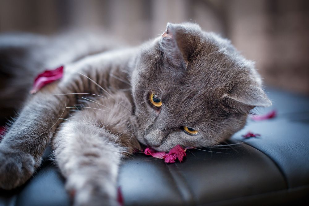 Photograph by Иван Логинов