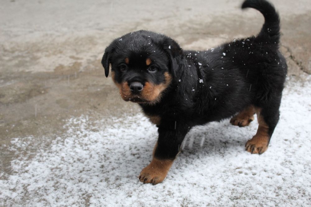 Photograph by Марина Нуриджанян