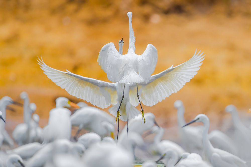 Photograph by Rin Võ