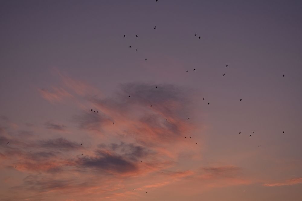 Photograph by Виктория Дремо