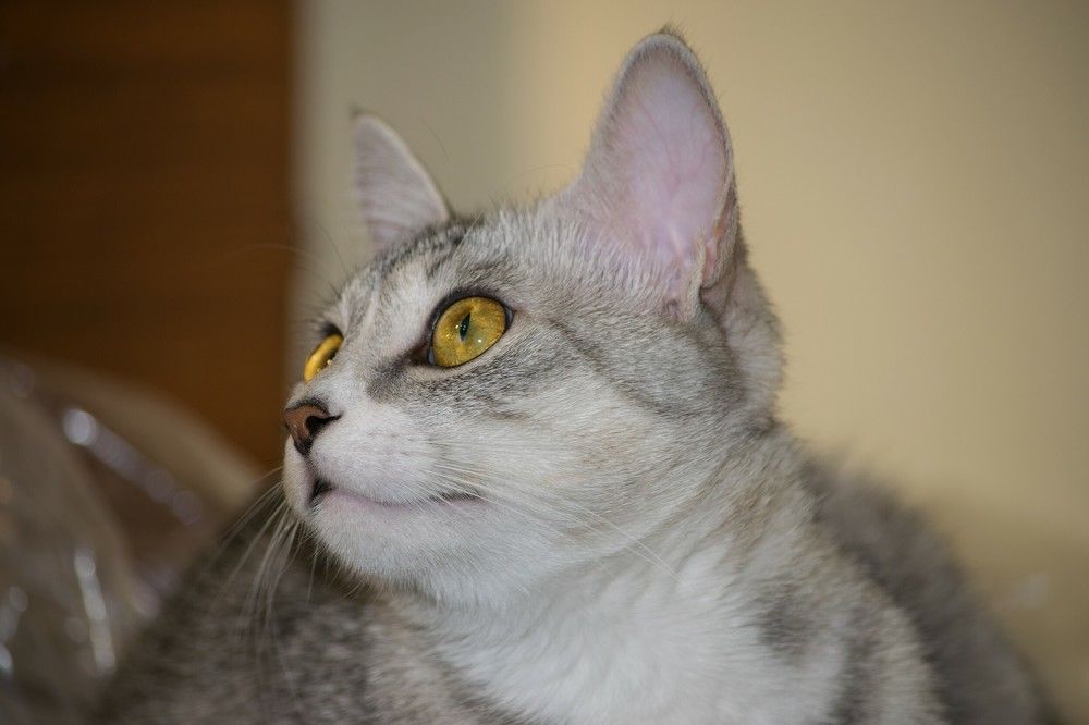 Photograph by Олег Яковлев