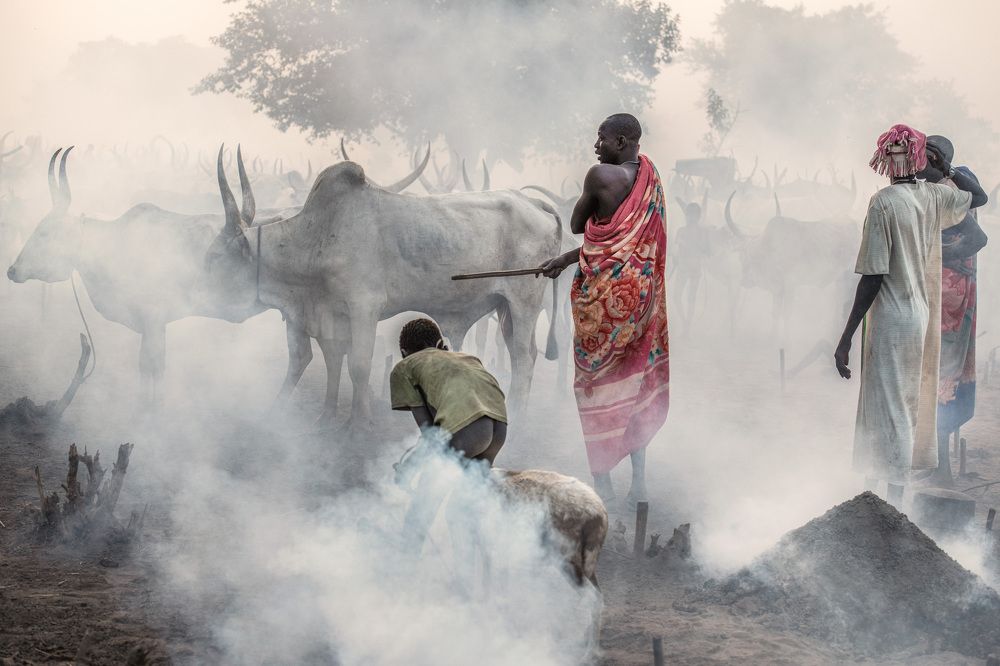 Photograph by Trevor Cole