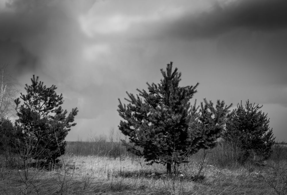 Photograph by Лозинский Ярослав