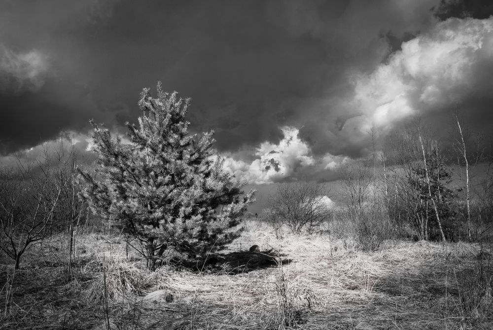 Photograph by Лозинский Ярослав