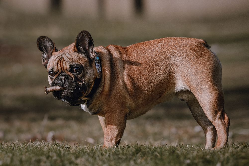 Photograph by Anastasia Steiner