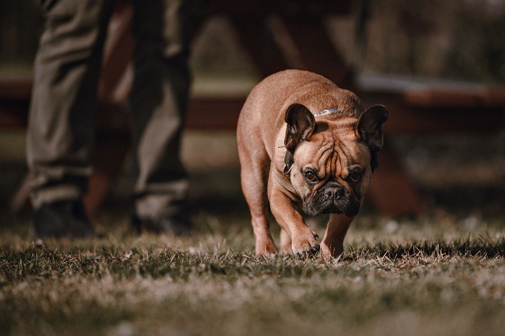 Photograph by Anastasia Steiner