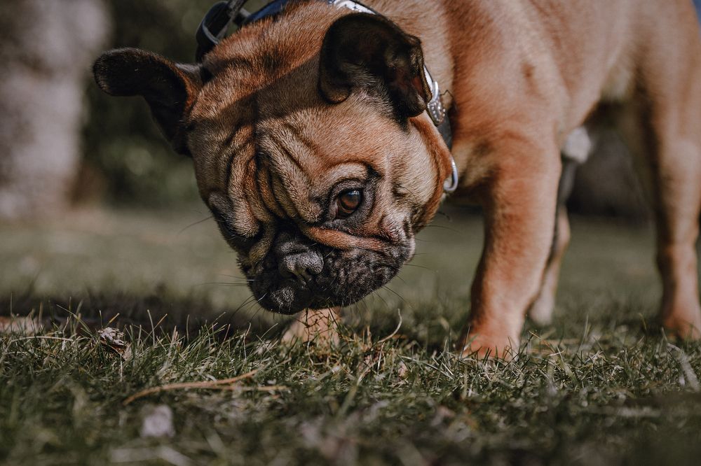 Photograph by Anastasia Steiner