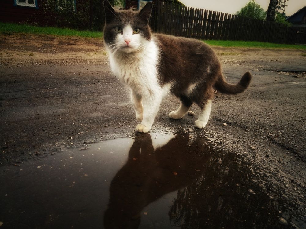 Photograph by Евгений Калагаев