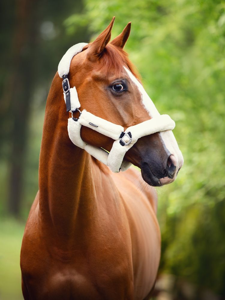 Photograph by Владислава Протащик