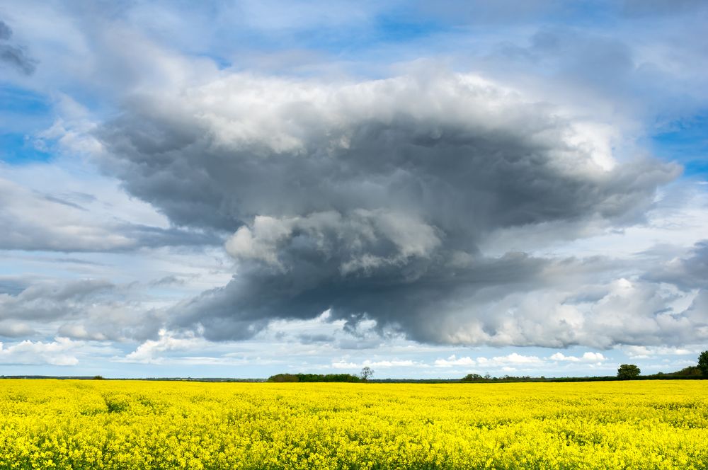 Photograph by Alexander Papkov