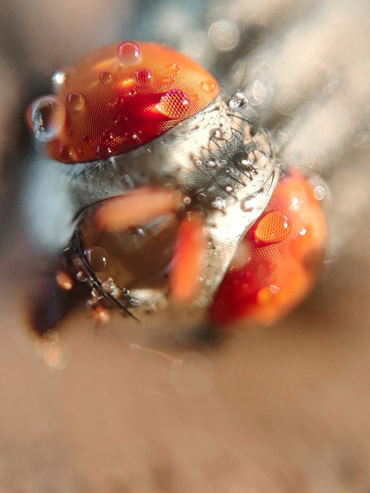 Photograph by Muralidharan.V