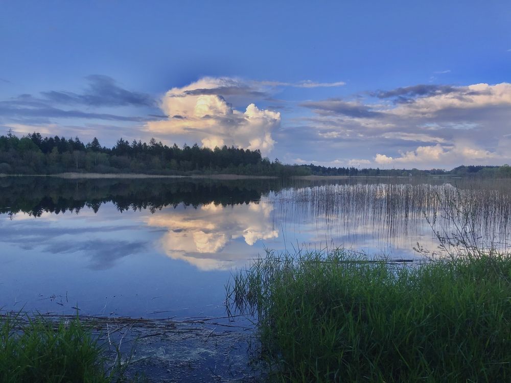 Photograph by Maryna Hedegaard