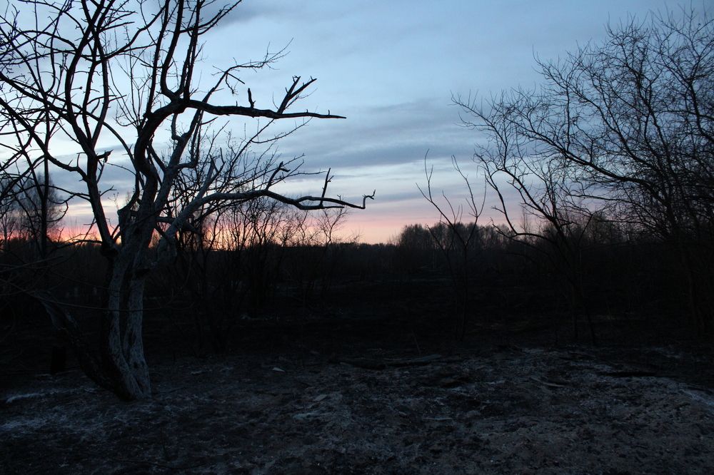 Photograph by Жанна Cысоева