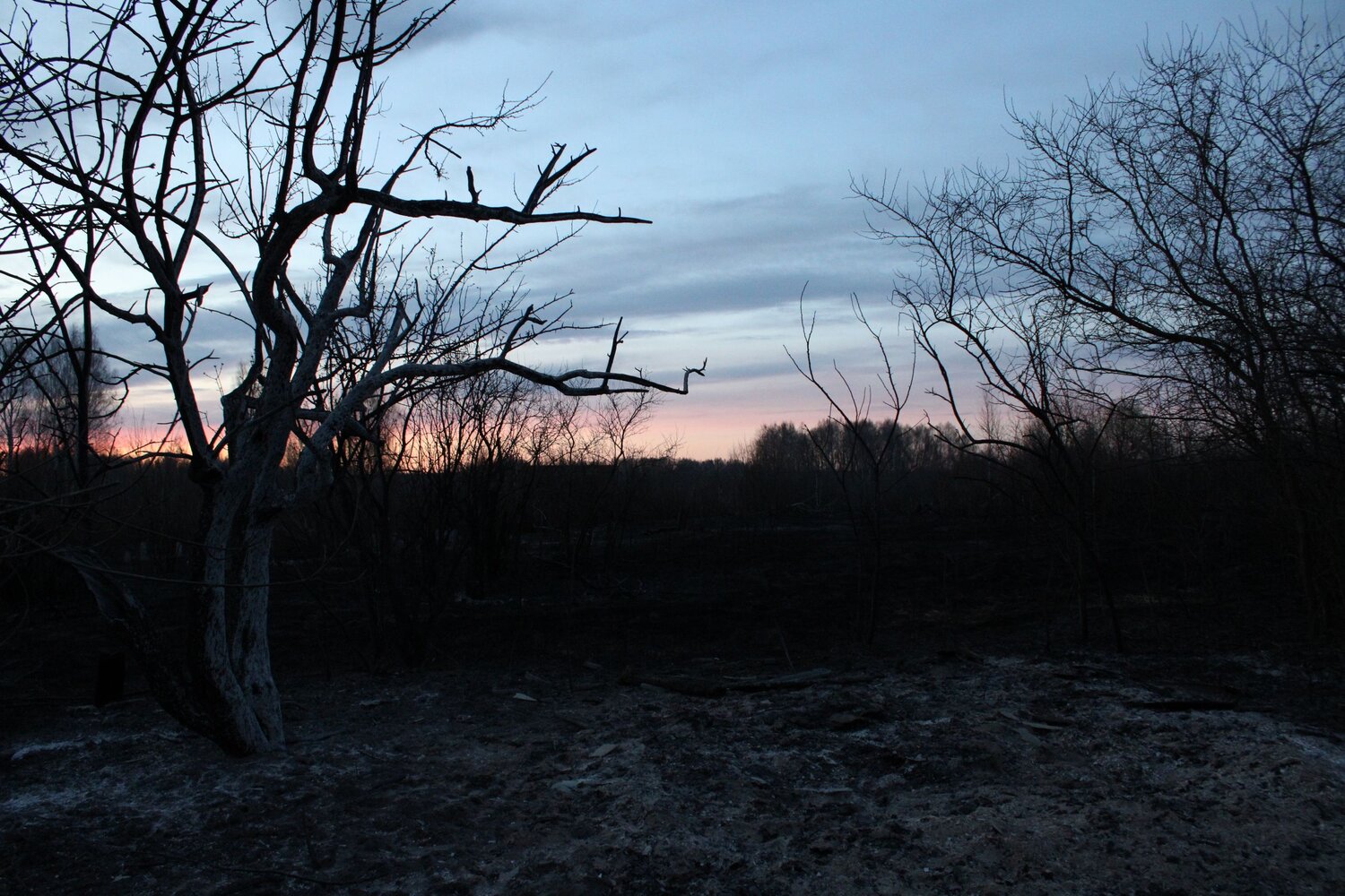 Photo #6103441