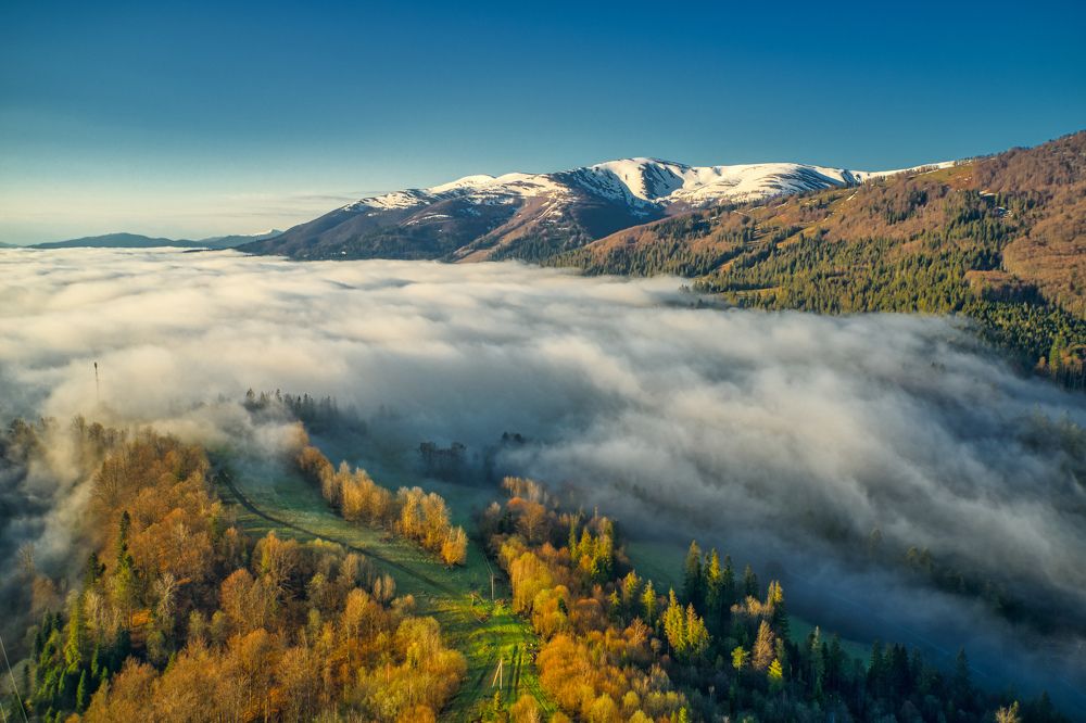 Photograph by Максим Дяченко