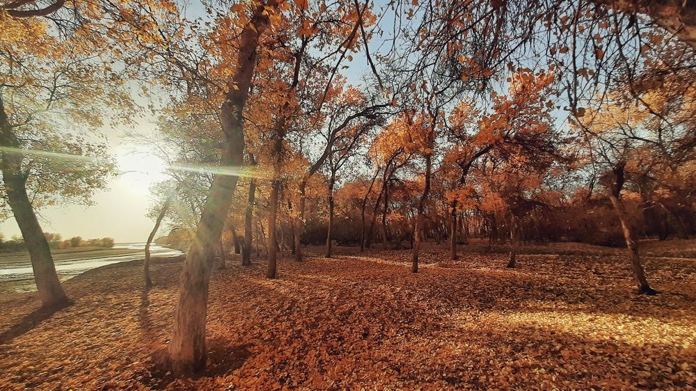 Photograph by Тимур Еримбетов