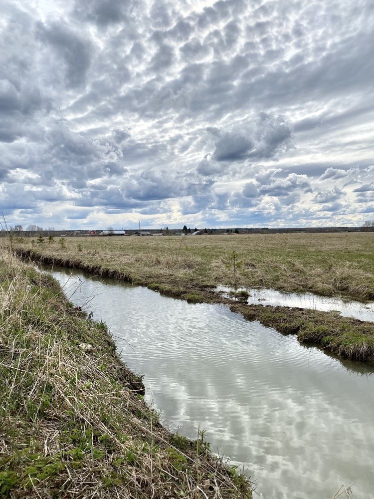 Photograph by Наталья Могилевская