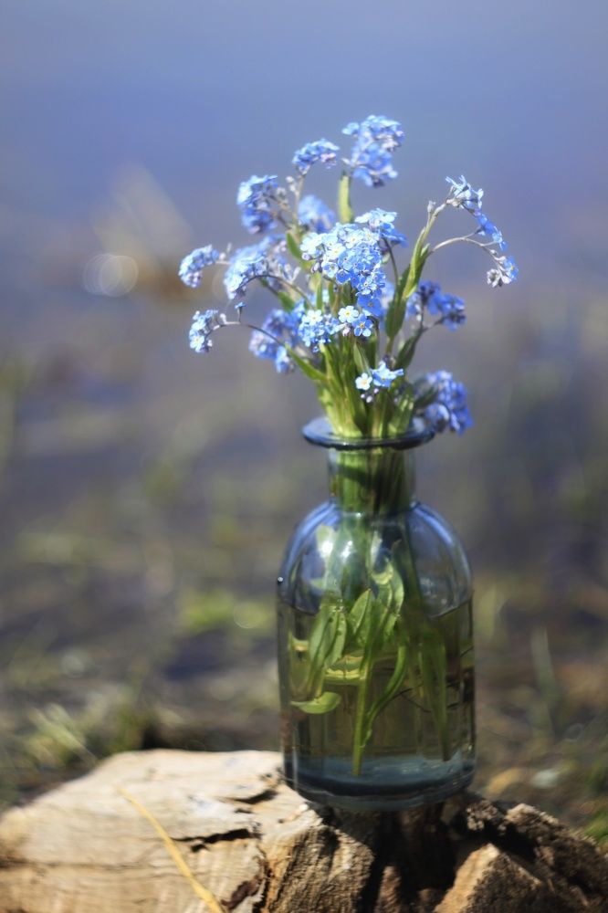 Photograph by Ирина Попкова