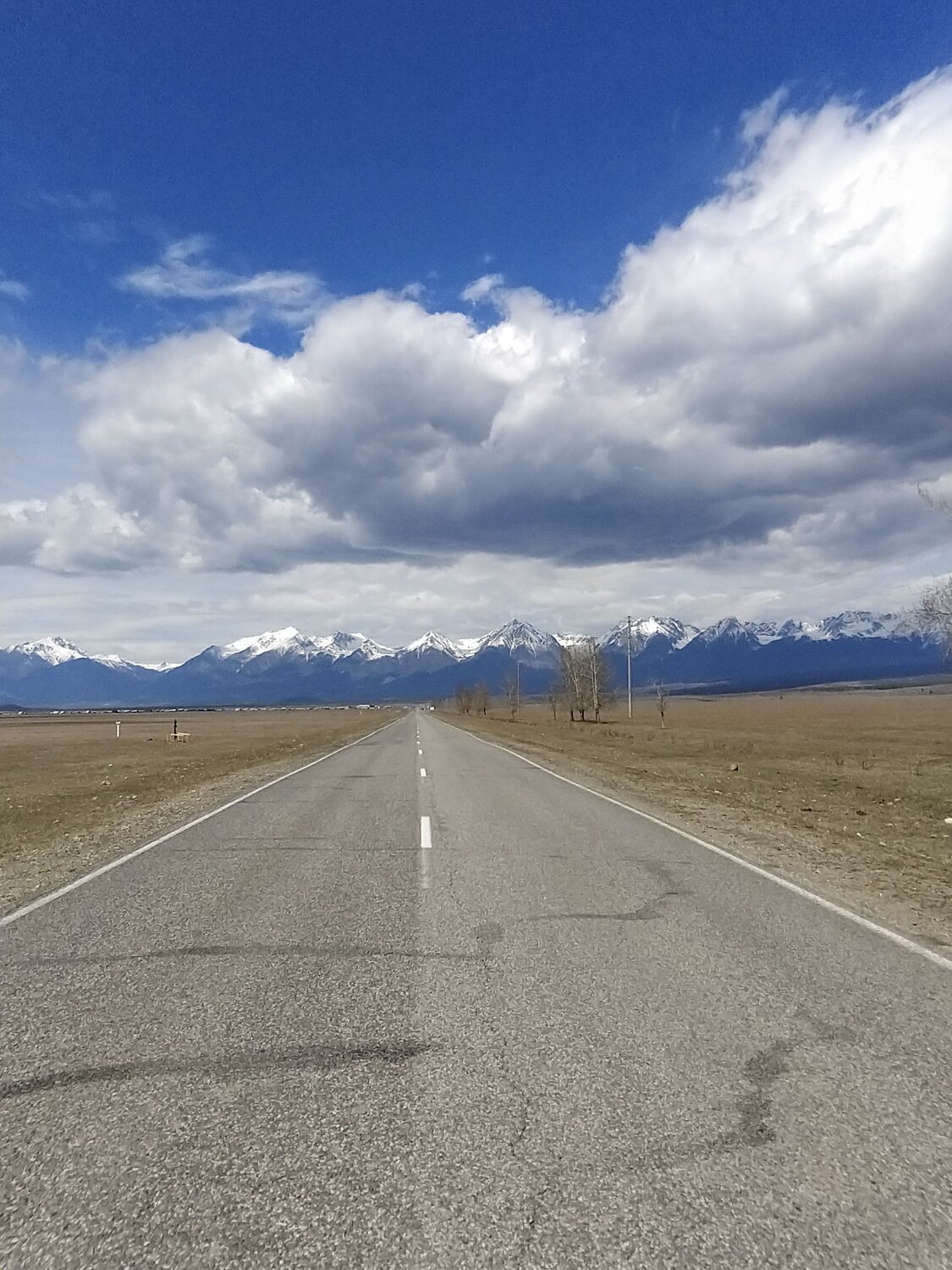 Photo #6103488
