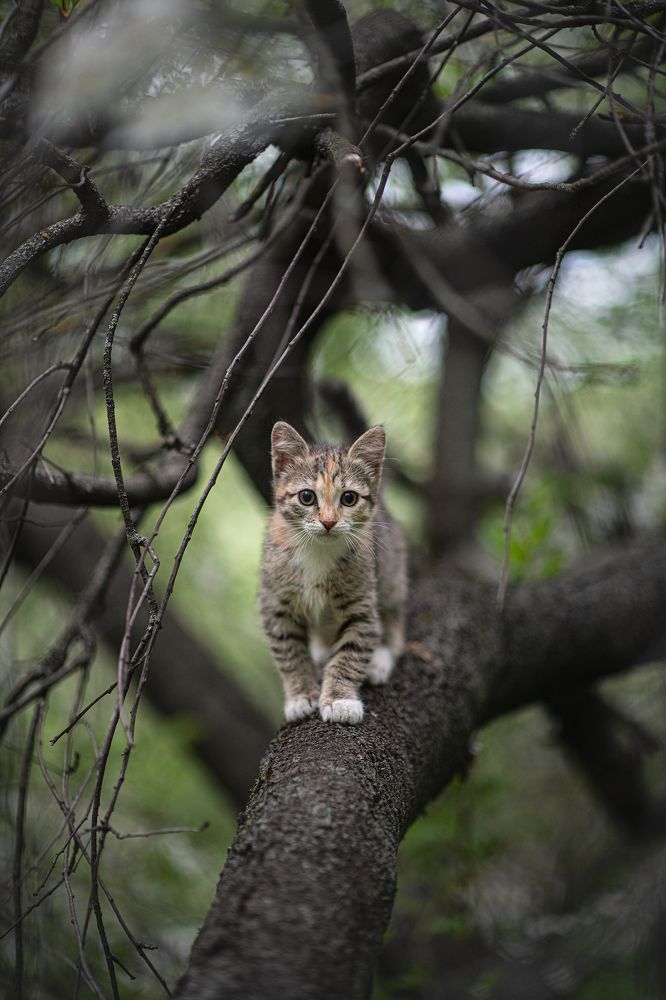 Photograph by Юлия Борт