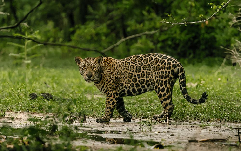 Photograph by concha