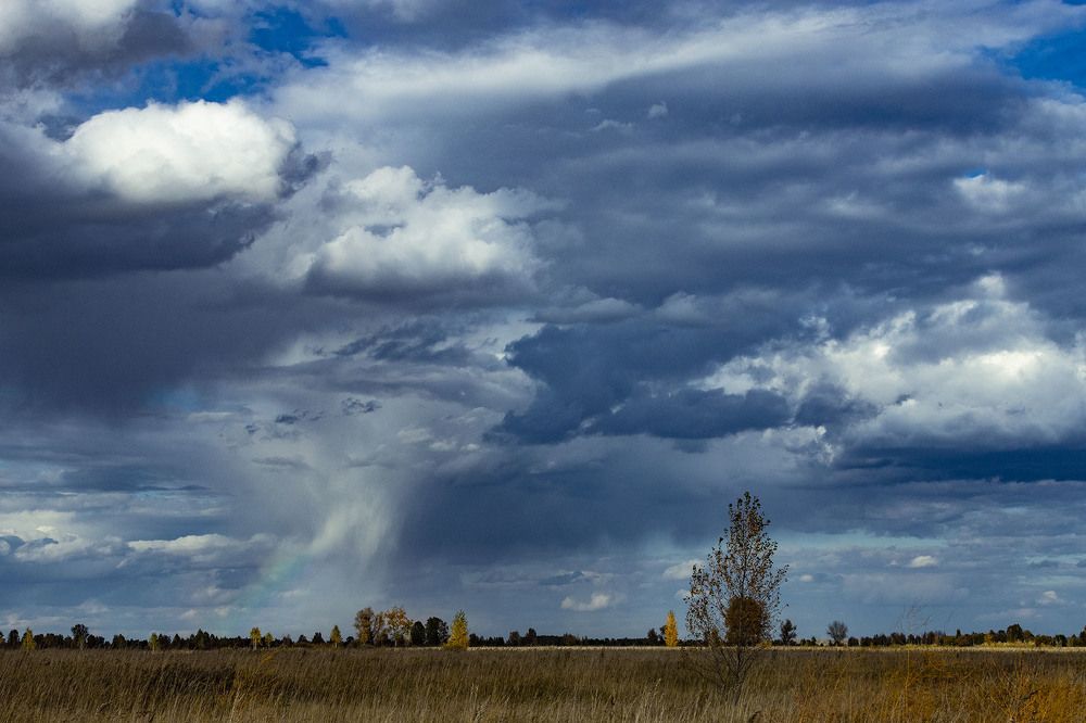Photograph by ИРЕНА Федорова