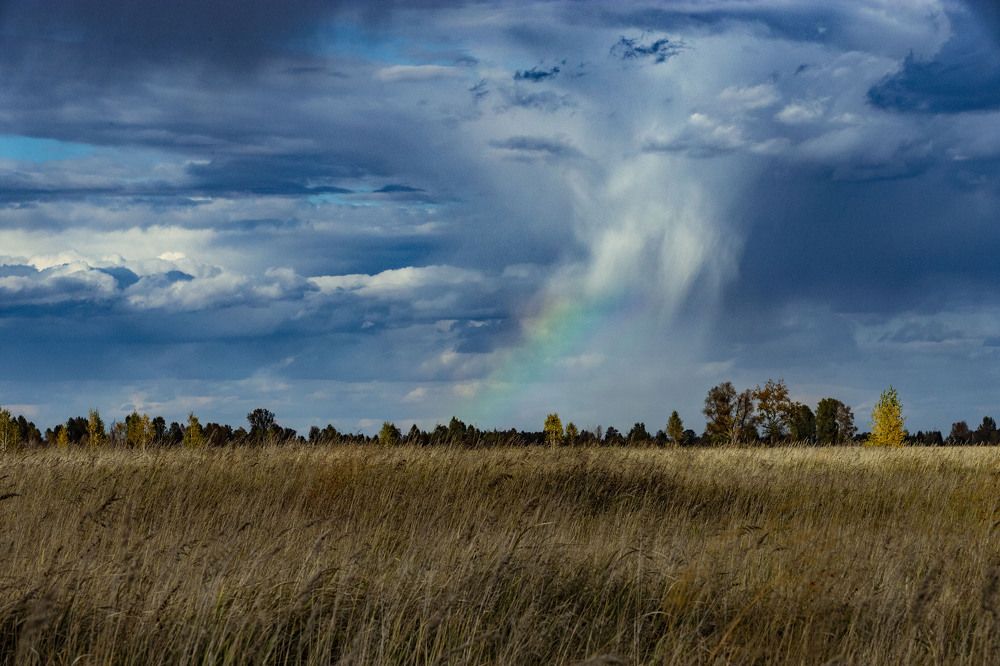 Photograph by ИРЕНА Федорова