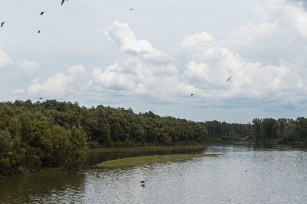 Photograph by ИРЕНА Федорова