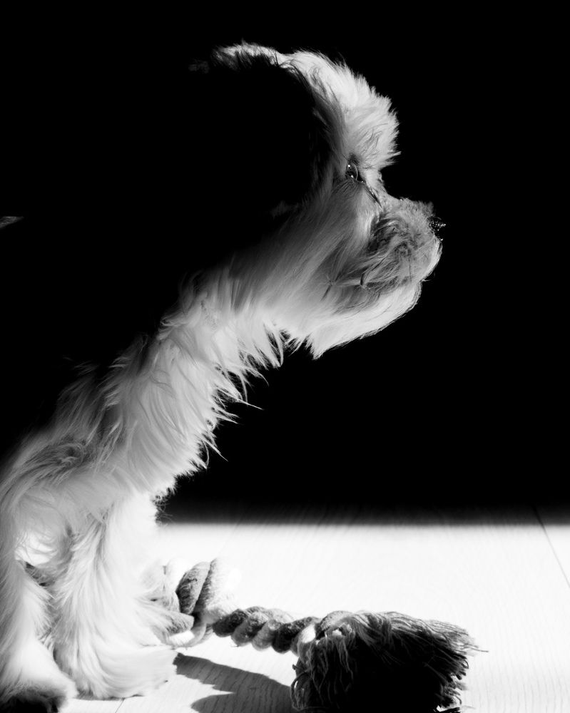 Photograph by Joshua