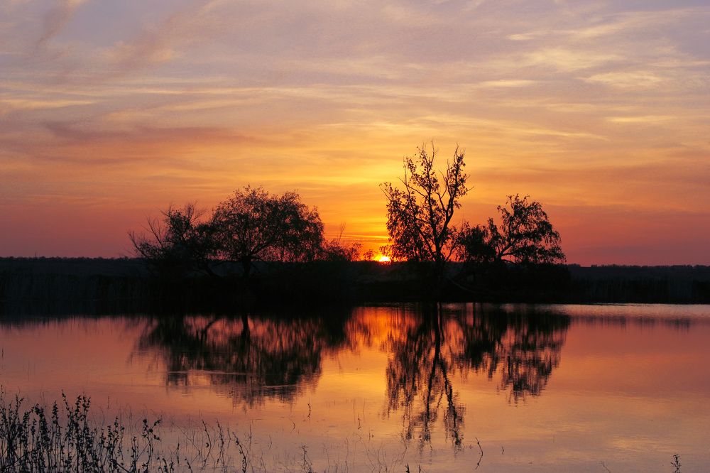 Photograph by ирина калинина