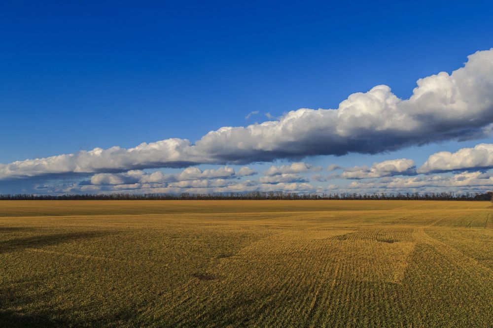 ритмика над землею