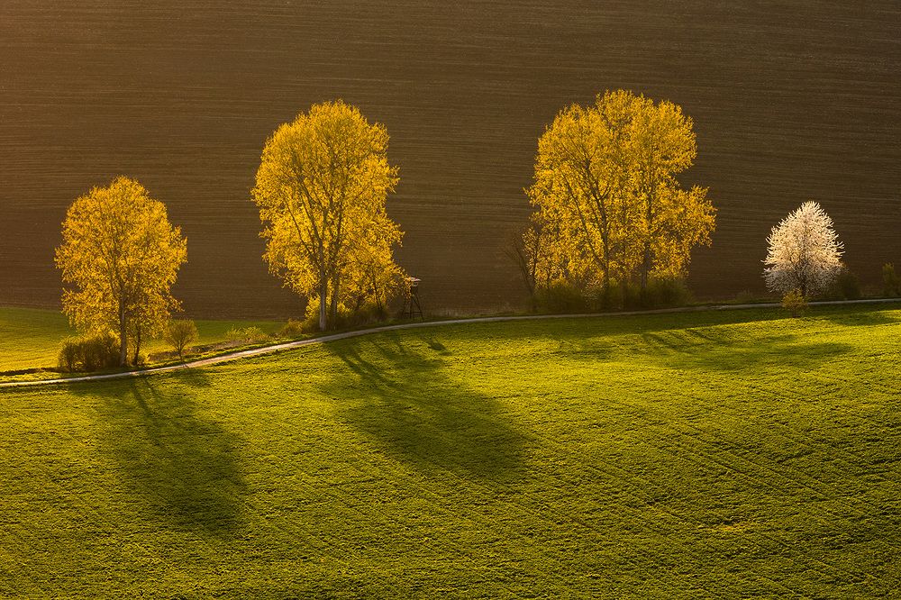 Mystery of Landscape V