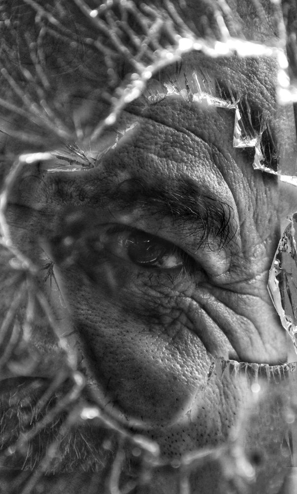 Photograph by Negin Khorsandi