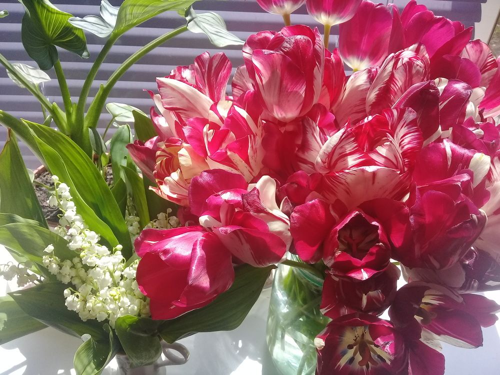 Photograph by Маргарита Сирик