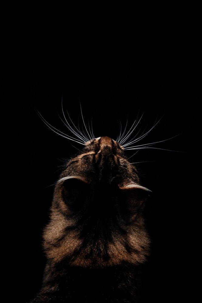 Photograph by Татьяна Носкович