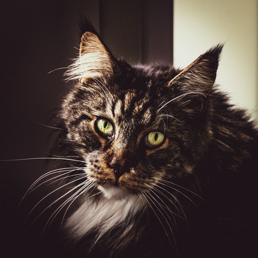 Photograph by Olga Bakke