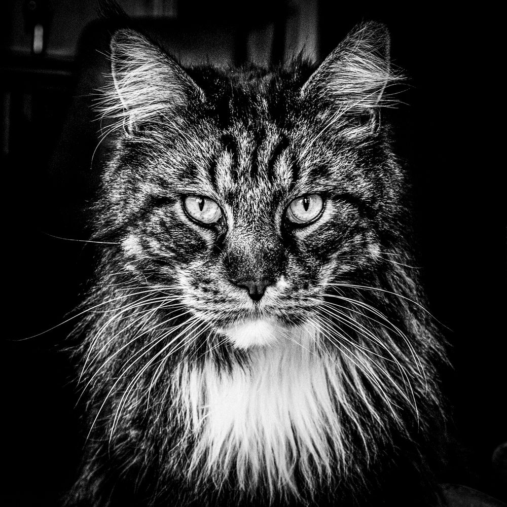 Photograph by Olga Bakke