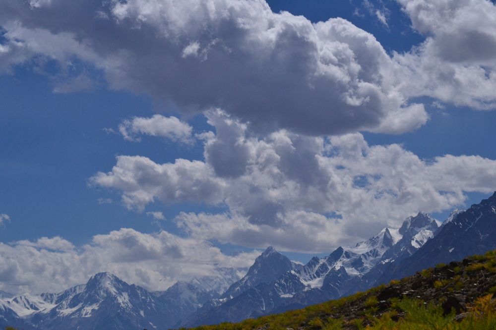 Photograph by MOHAMMAD ASHFAQ