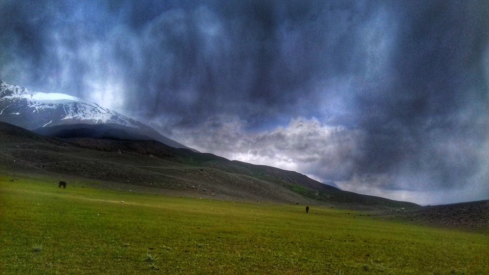 Photograph by MOHAMMAD ASHFAQ