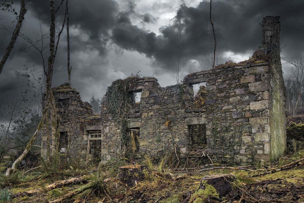 Photograph by Alexander