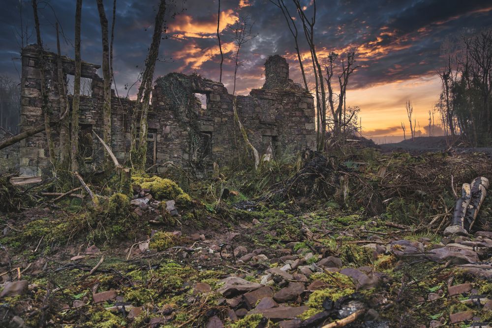 Photograph by Alexander