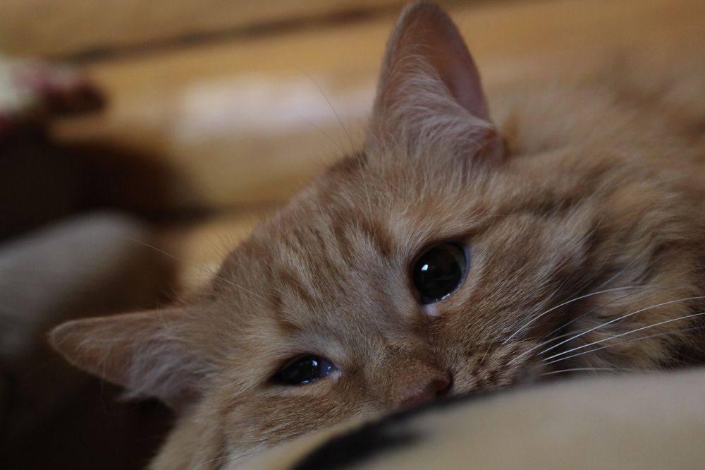 Photograph by Жанна Cысоева