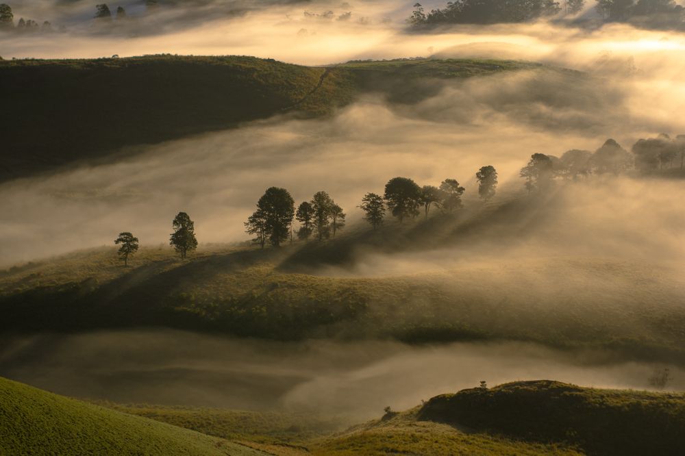 The Nature's Bedsheet