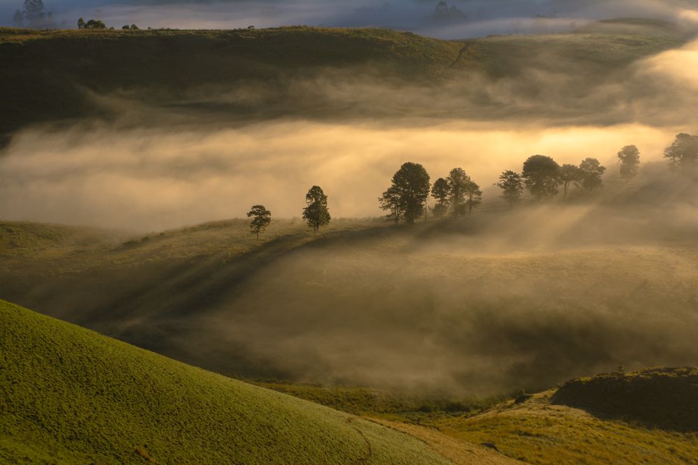 Photograph by Sriram Rajeswaran